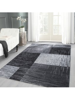 Alfombra de diseño moderno...