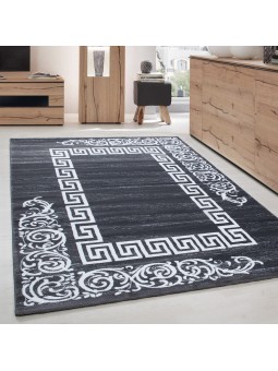 Tapis moderne gris à cadre...