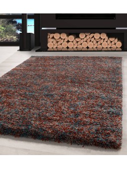 Tapis de Salon Shaggy haute...