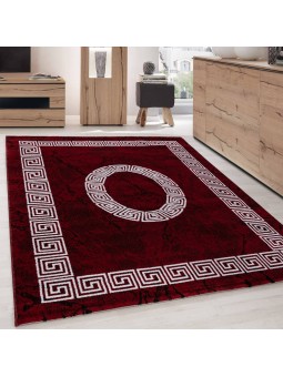 Alfombra de diseño moderno...