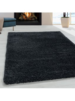 Tapis de salon Shaggy...