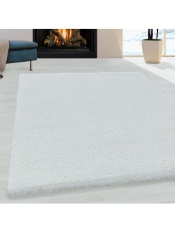 Shaggy Living Room Rug,...