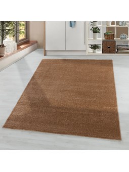 Tapis de salon à poil ras...