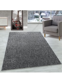 Tapis de salon à poil ras...