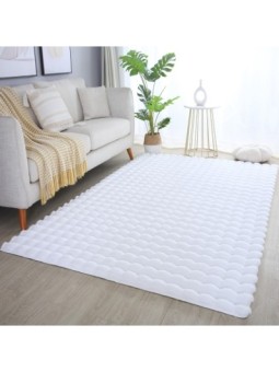 Tapis à poils longs,...