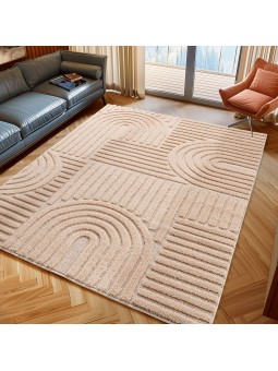 Tapis à poils longs, style...