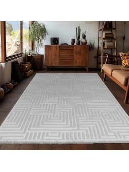 Living room rug with raised...