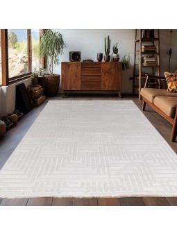 Living room rug with raised...
