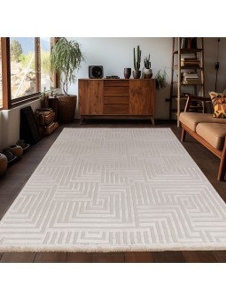 Living room rug with raised...