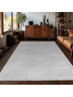 Living room rug with raised...