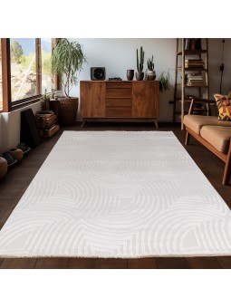 Living room rug with raised...