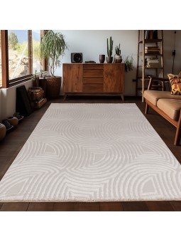 Living room rug with raised...