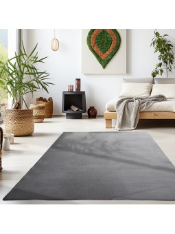 Short pile rug, single...