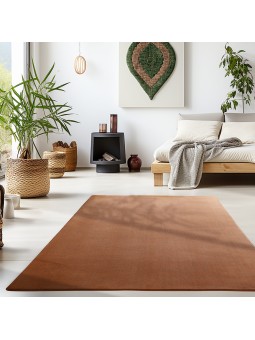 Tapis à poils courts,...